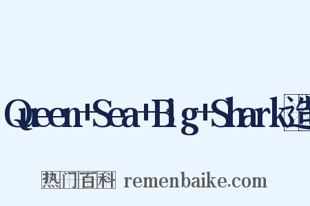 Queen+Sea+Big+Shark造句是什么意思的图片